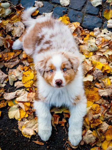 DSC 5883-bewerkt-kopie