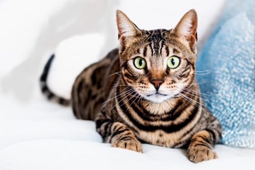 naamloos191-Verbeterd-NR