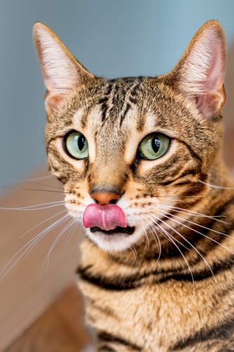 naamloos422-Verbeterd-NR